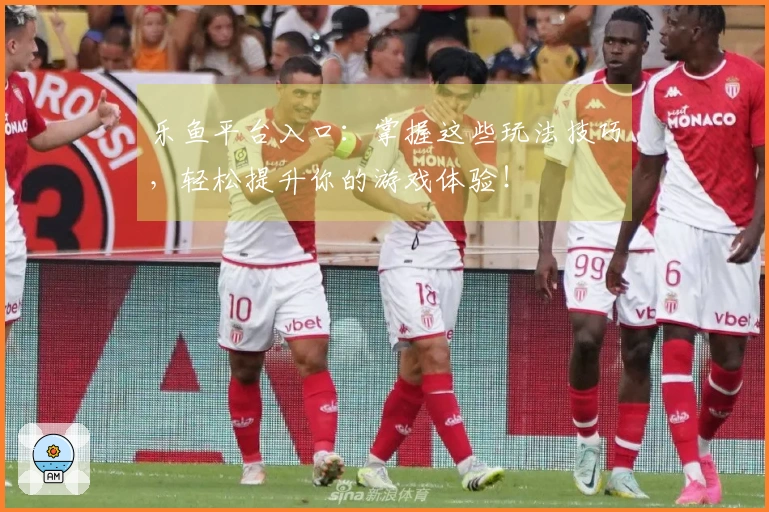 乐鱼平台入口：掌握这些玩法技巧，轻松提升你的游戏体验！