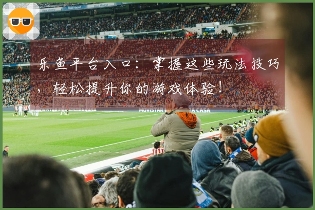 乐鱼平台入口:掌握这些玩法技巧,轻松提升你的游戏体验!